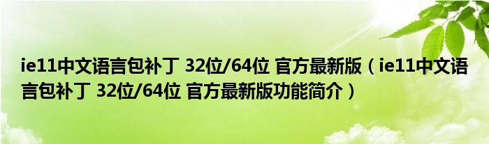 ie11中文语言包补丁 32位/64位 官方最新版（ie11中文语言包补丁 32位/64位 官方最新版功能简介）